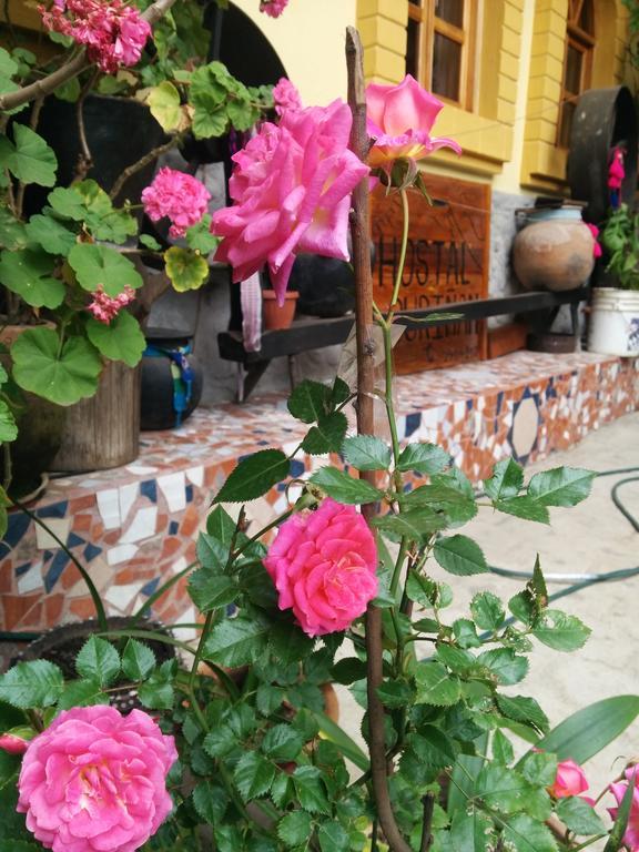 Hostal Curinan Otavalo Esterno foto